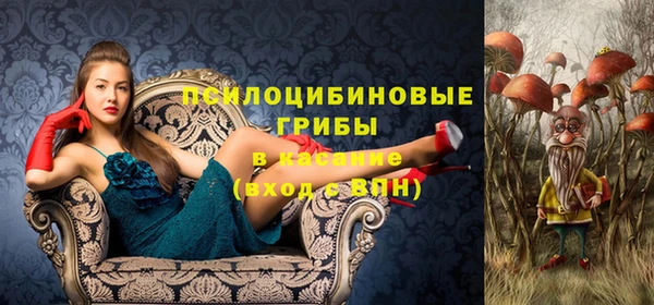 гашик Липки