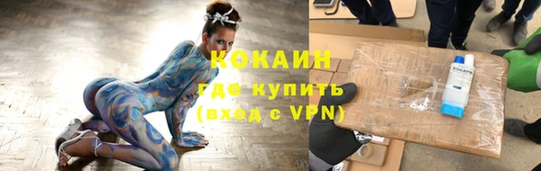шишки Лиски