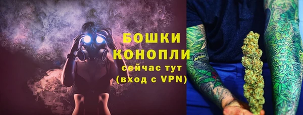 шишки Лиски