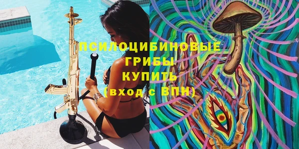 гашик Липки